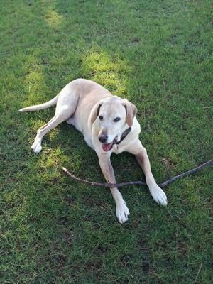 Loving life in the park