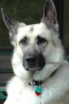 Berin in better days