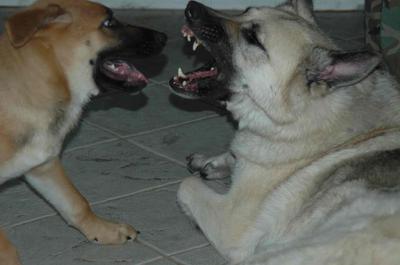 Now you really got me mad