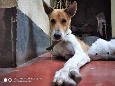 19th November, 2006 - 15th August, 2020