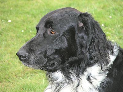 Such a wonderful head, such a wonderful heart