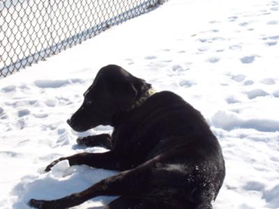Enjoying the snow, February 2009