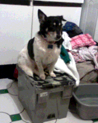 This is one of my favourites