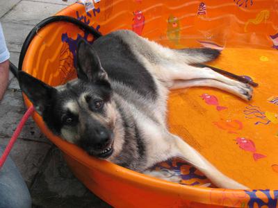 Basking in the sun your first day here