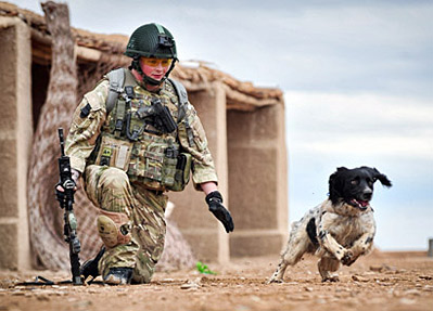 Lance Cpl. Liam Tasker & Theo (Credit A.P. photo)