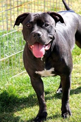 My hero My  love…. Legend