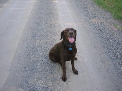 Lexi Nitz passed away 10/30/09