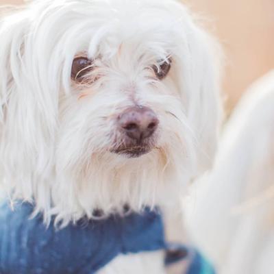 The last family photo with him 