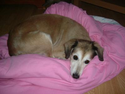 Our precious little girl