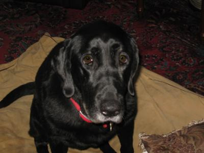 Lucy (my best friend)