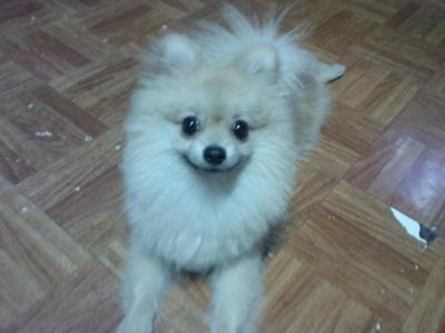 We miss you Molly! ;'(