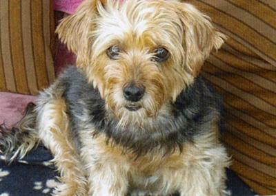 Sophie Mum's Little Shadow