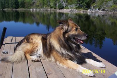 Murphy, the one who taught me how to love