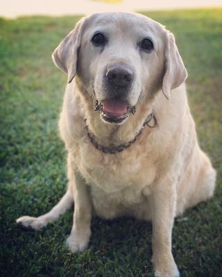 Sam, we love you, buddy ❤️😘