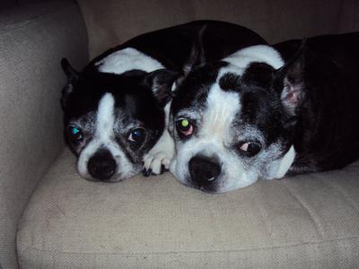 Riley, on the right, with Rose