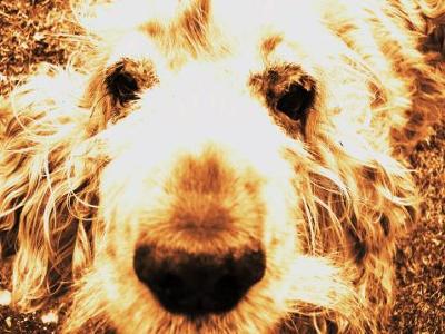 Forever will be missed, my darling Chereeyah