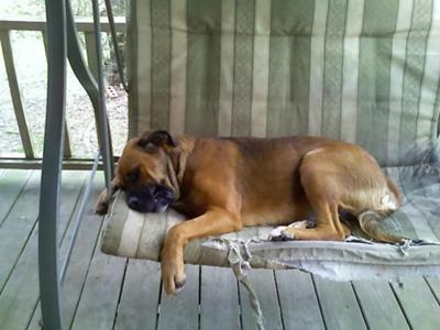 Little Bit Sleeping in her Swing