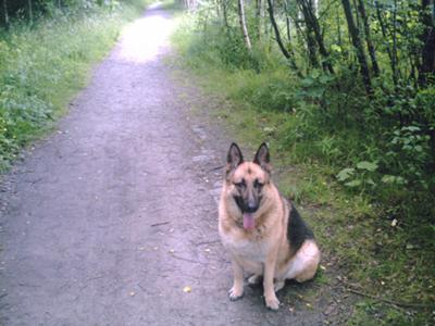 Sheena, my best friend