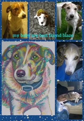 My special Blaze, my best friend 