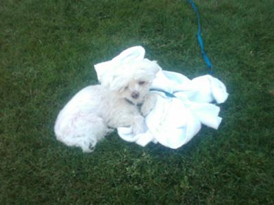 March 2010, Palm Springs Hilton