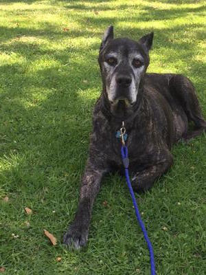 My Eternal Love ~ Maceo