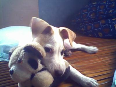 When he was just a pup