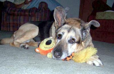 My Gita and her Squeaky Squirrel!