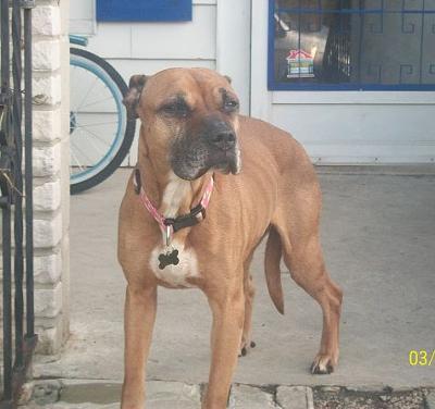 This was taken in Katie's last hours with us. I love you Katie!