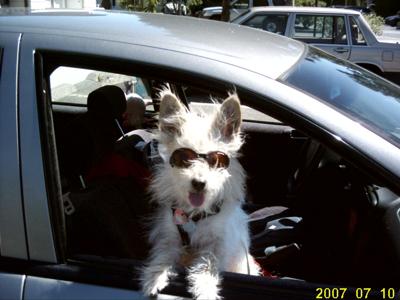 Rhino's Personality Always Shines