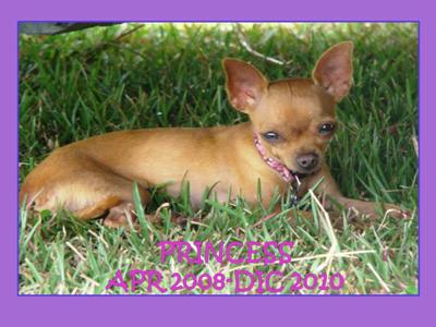 A week before you left this world