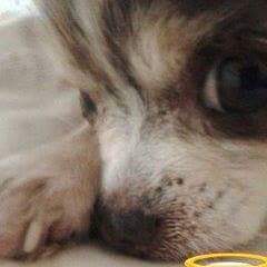 So beautiful and good 💔