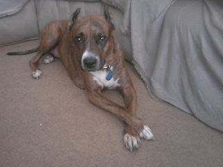 The Most Adorable Princess