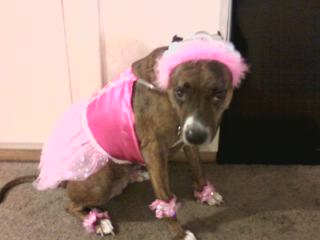 My Prettiest Ballerina