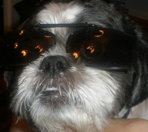 Shaggy being Kool on Halloween 2009