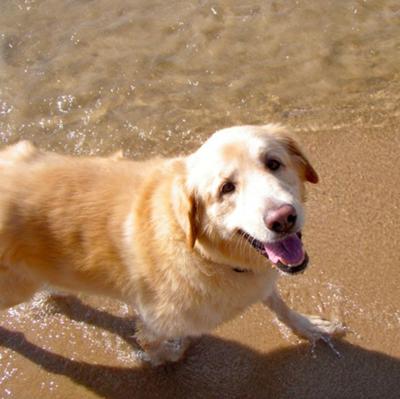 Smiling and playing in the water