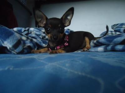 She was the cutest of all