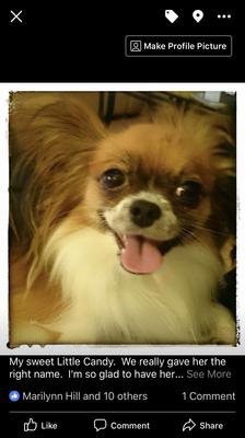 Candy always smiling