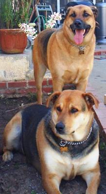 Sebastian and his brother Harley