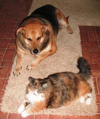 Sebastian and his girlfriend Sophia Lynn