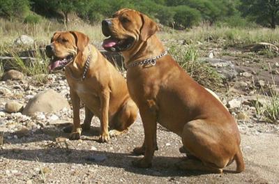Nacho and his sister, Gina