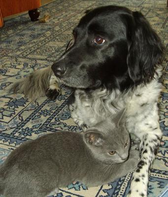 That´s Nicky with a kitten she rescued once