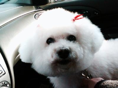 Our angel, our baby, our heart...