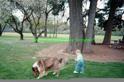 Perry walking Breya!