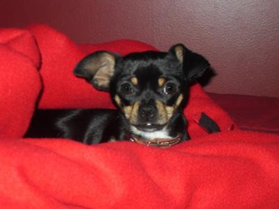 Porky. I will miss you everyday