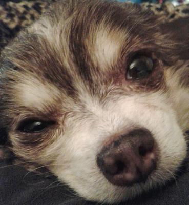 Beautiful face and soul