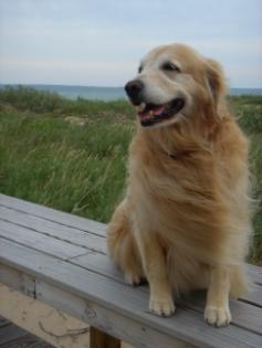Rave of Sturgeon Bay