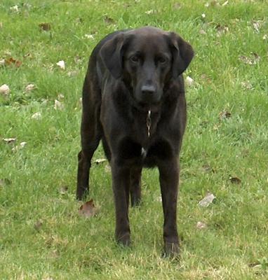 Relish in the front yard