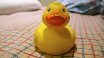 Relish's lifelong companion, Rubber Duck
