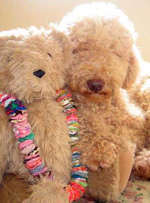 Teddy Bear Valentine