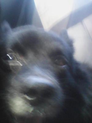 You where the cutest and the best